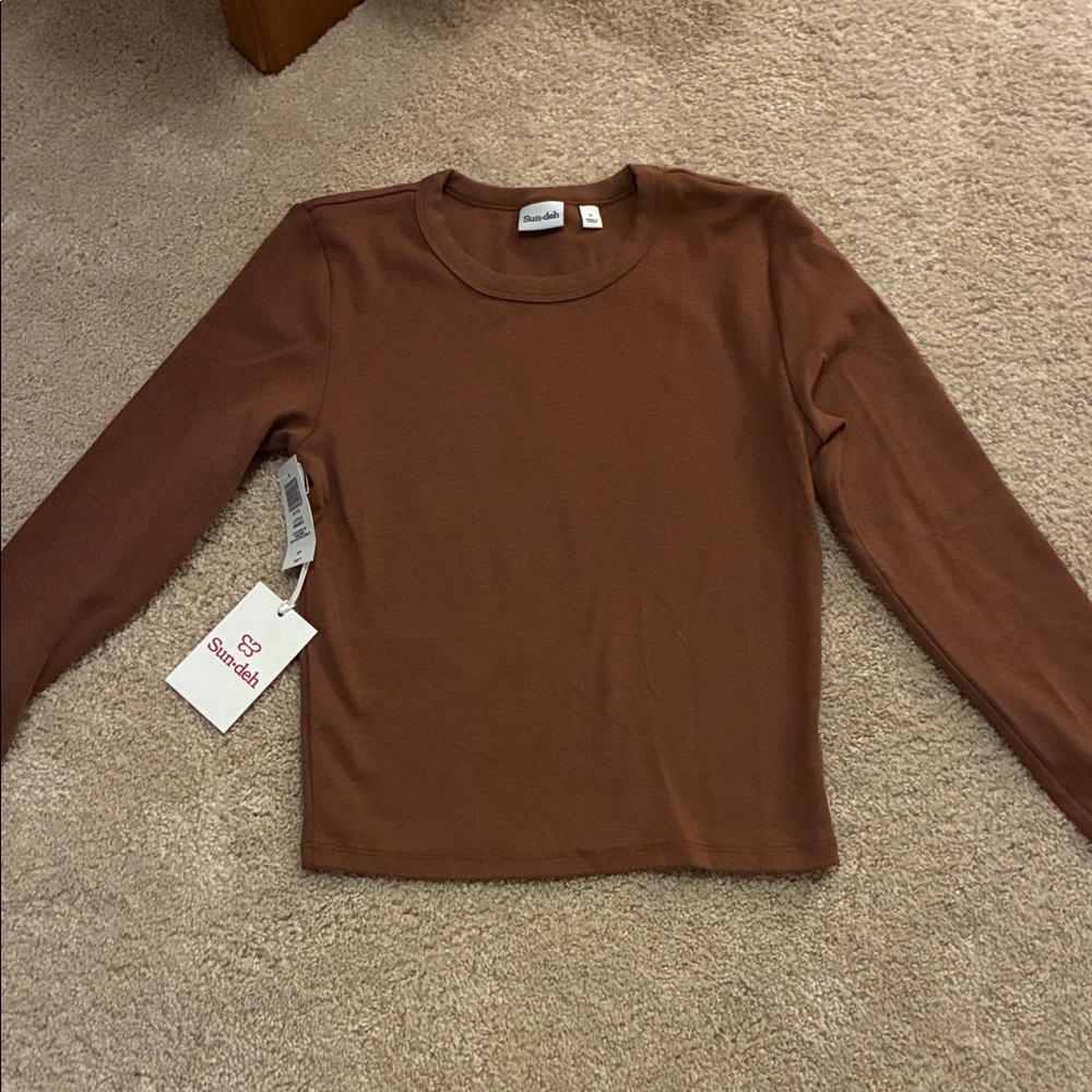 Aritzia Sun Deh Long Sleeve Tee in Brown